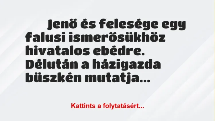 Vicc: 
	    	    Jenő és felesége egy falusi ismerősükhöz hivatalos…