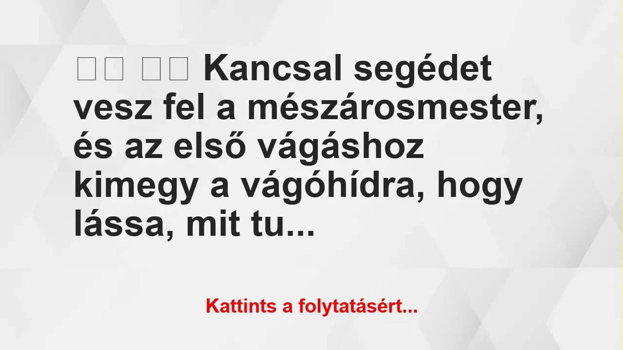 Vicc: 
		  
		  Kancsal segédet vesz fel a mészárosmester, és az …