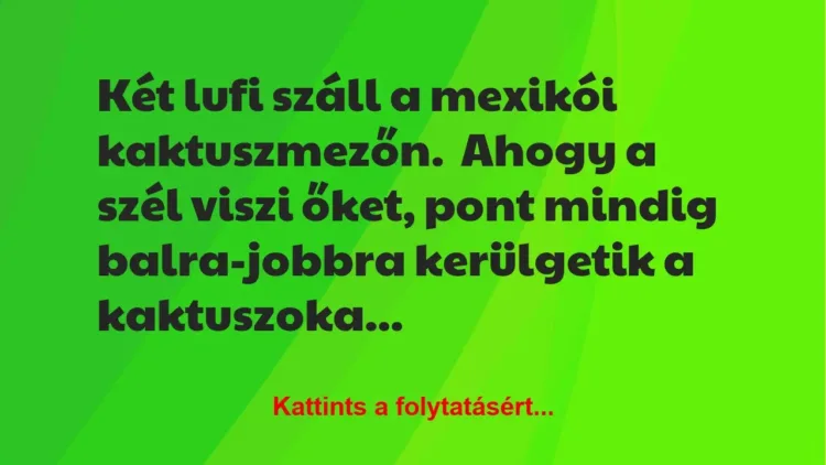 Vicc: Két lufi száll a mexikói kaktuszmezőn.

Ahogy a szél viszi őket,…