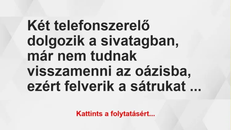 Vicc: Két telefonszerelő dolgozik a sivatagban, már  nem  tudnak …