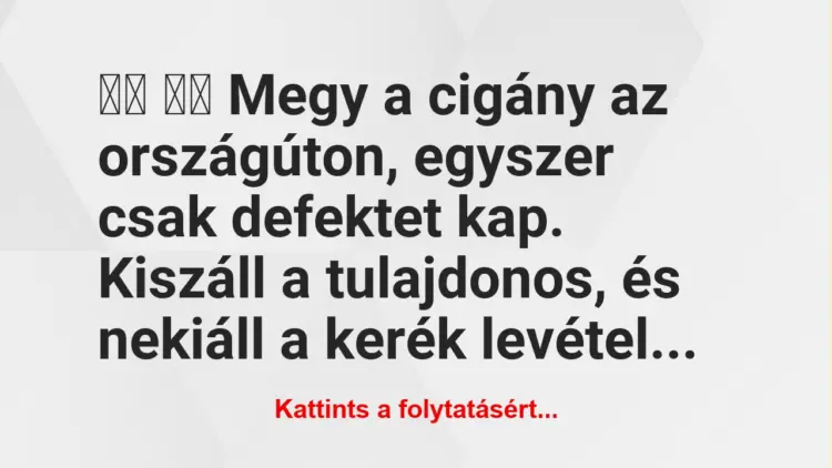 Vicc:
Megy a cigány az országúton, egyszer csak…