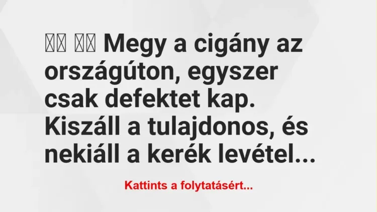 Vicc: 
		  
		  Megy a cigány az országúton, egyszer csak…