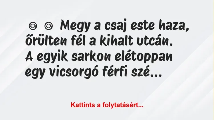 Vicc: 
	    	    Megy a csaj este haza, őrülten fél a kihalt utcán.


A…