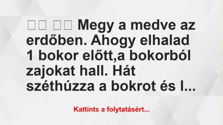 Vicc: 
		  
		  Megy a medve az erdőben. Ahogy elhalad 1 bokor…