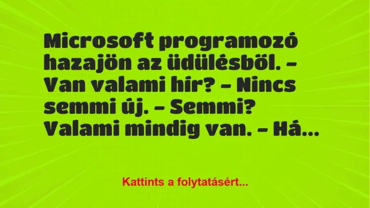 Vicc: Microsoft programozó hazajön az üdülésből.– Van valami hír?…