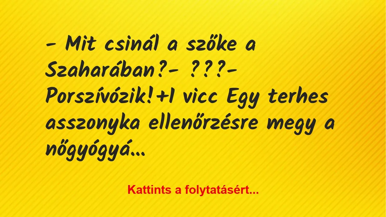 Vicc: – Mit csinál a szőke a Szaharában?

– ???

– Porszívózik!