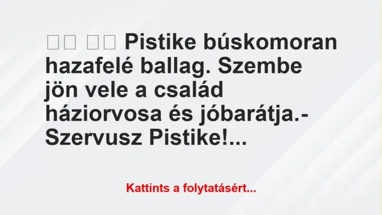 Vicc: 
		  
		  Pistike búskomoran hazafelé ballag. Szembe jön…