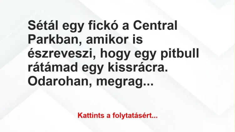 Vicc: Sétál egy fickó a Central Parkban, amikor is észreveszi, hogy egy…