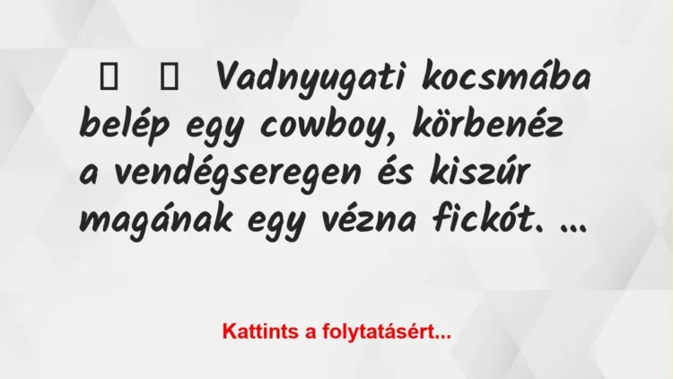 Vicc: 
	    	    Vadnyugati kocsmába belép egy cowboy, körbenéz a…