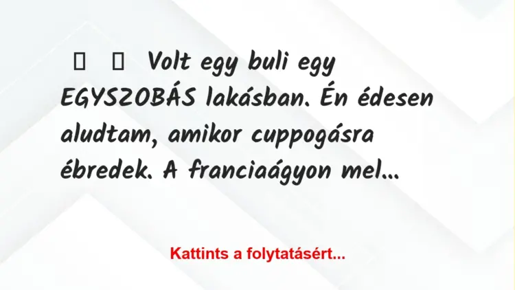 Vicc:
Volt egy buli egy EGYSZOBÁS lakásban. Én édesen aludtam,…