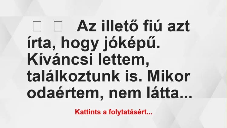 Vicces történet: 
	    	    


Az illető fiú azt írta, hogy jóképű….