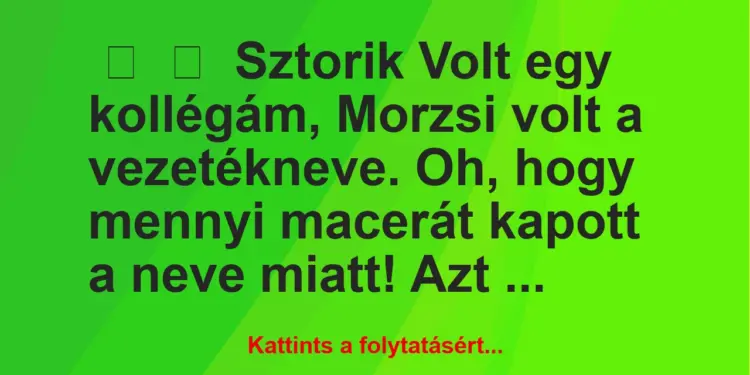 Vicces történet:
SztorikVolt egy kollégám, Morzsi volt a…