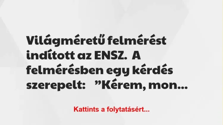 Világméretű felmérést indított az ENSZ