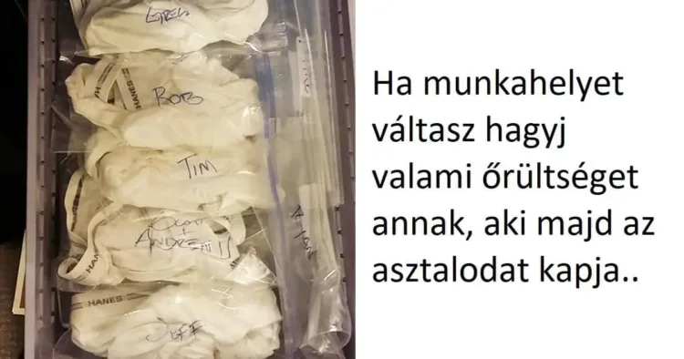 15 kép, amelyek rámutatnak: A humor uralkodik a világban