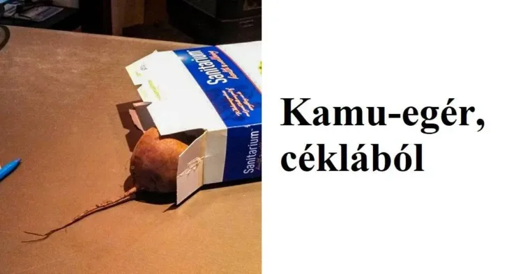 25 humorban gazdag család, akik mindig földerítik napod…