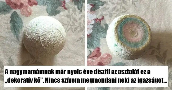 21 pillanat, amikor a nagyszülők egyszerűen feldobják a napodat…