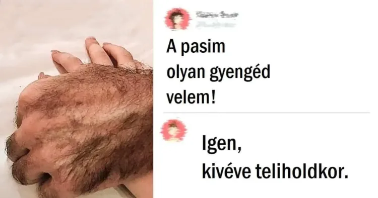 15 humorzseni, aki tudja hogyan kell feldobni az internetet