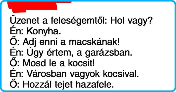 21 humoros tweet, amely tökéletesen megmutatja, mennyire összetett és kifinomult a házas élet