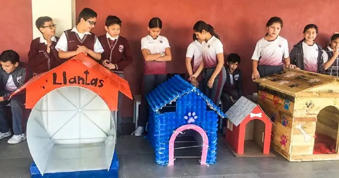 Mexikói gyerkőcök új életet adtak feleslegessé vált tárgyaknak és utcán élő kutyáknak