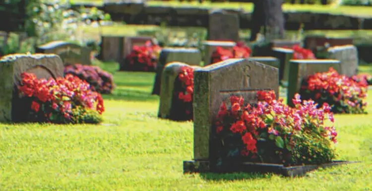Hét évnyi temetői látogatás után rejtélyes hang szólítja meg a fiút