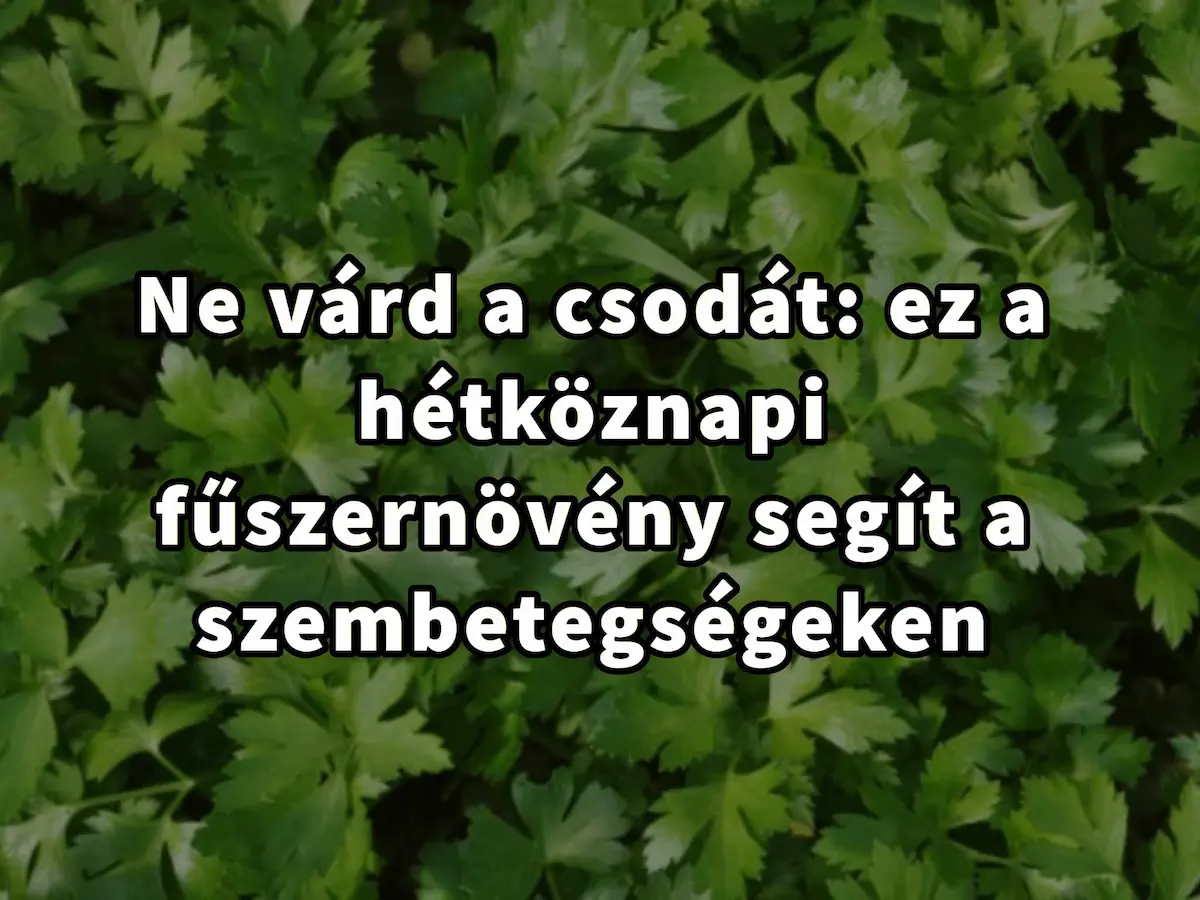 Ne várj varázslatot: ez a gyakori fűszernövény sok szembetegség ellen hatásos!