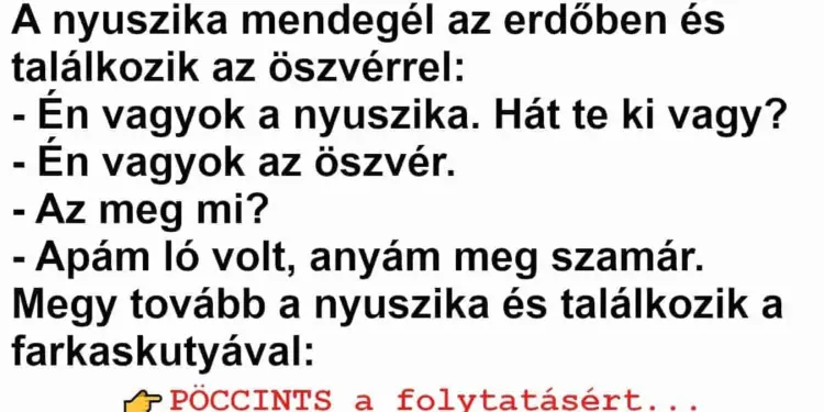 Vicc: A nyuszika mendegél az erdőben