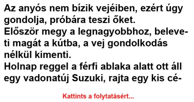 Vicc: Az anyós nem bízik vejéiben, ezért úgy gondolja, próbára teszi őket