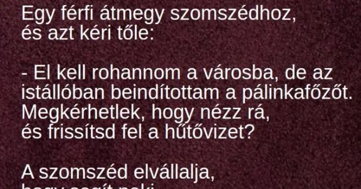 Vicc: Egy férfi átmegy szomszédhoz, és azt kéri tőle…..