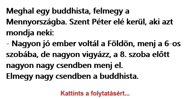 Vicc: Meghal egy buddhista, felmegy a Mennyországba. Szent Péter elé…