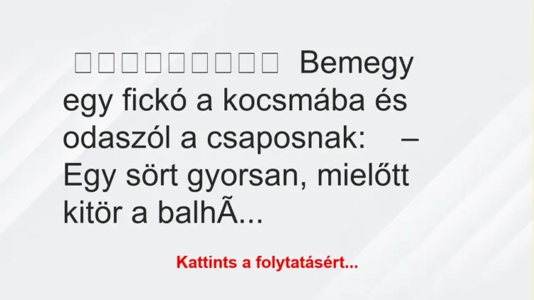 Bemegy egy fickó a kocsmába és odaszól a csaposnak