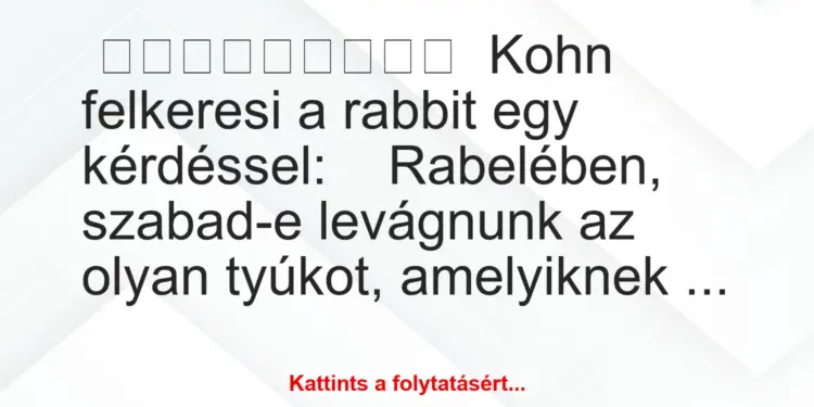 Kohn felkeresi a rabbit egy kérdéssel