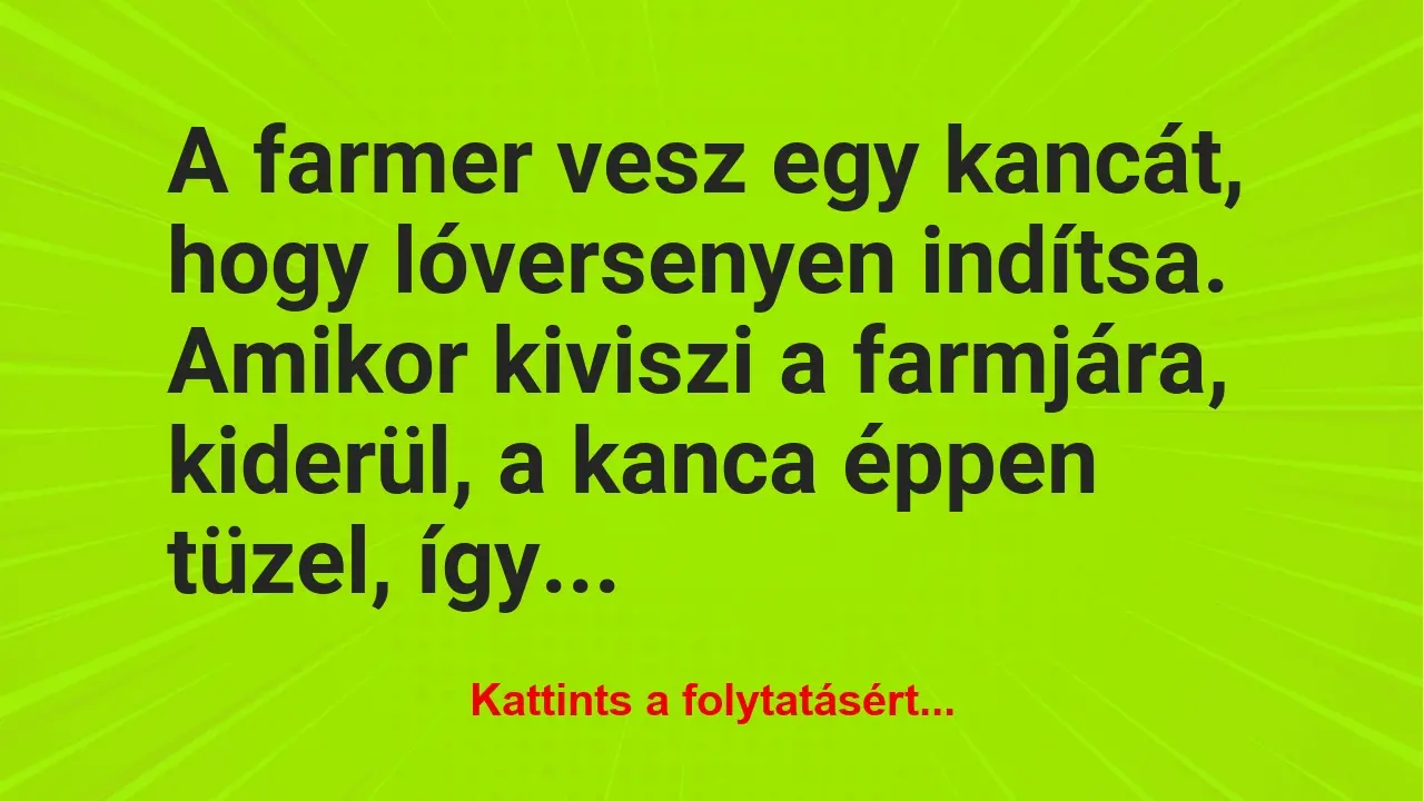 Vicc: A farmer vesz egy kancát, hogy lóversenyen indítsa. Amikor kiviszi a…