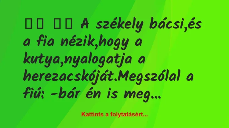 Vicc: 
		  
		  A székely bácsi,és a fia nézik,hogy a…