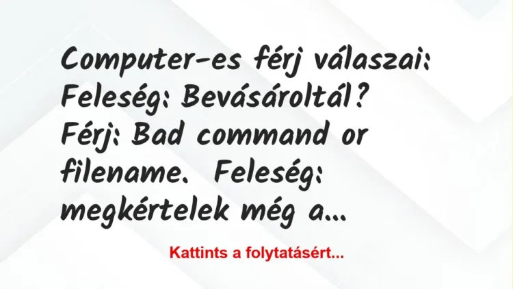 Vicc: Computer-es férj válaszai:

Feleség: Bevásároltál?

Férj: Bad…