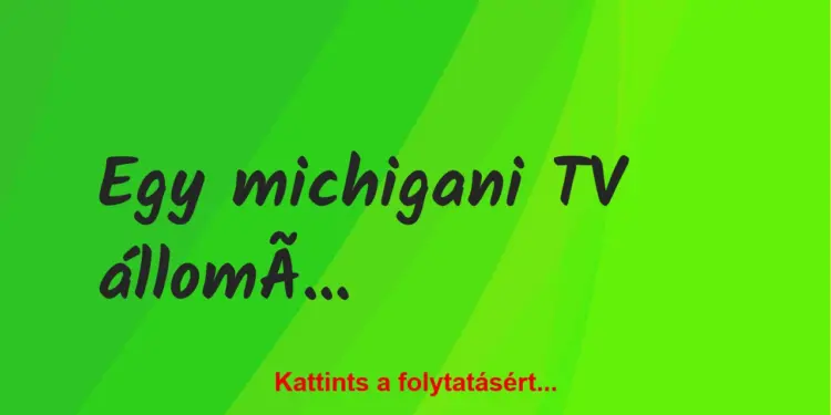 Vicc: Egy michigani TV állomás bemondónője