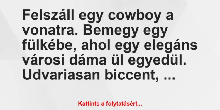 Vicc: Felszáll egy cowboy a vonatra. Bemegy egy fülkébe, ahol egy elegáns…