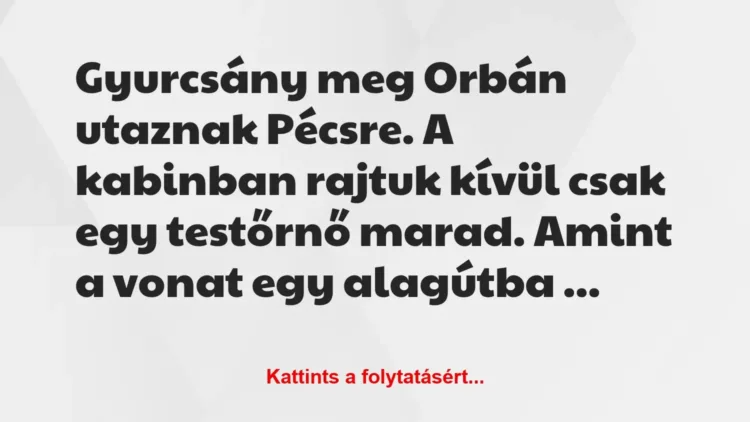 Vicc: Gyurcsány meg Orbán utaznak Pécsre. A kabinban rajtuk kívül csak egy…