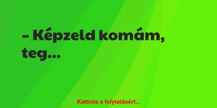 Vicc: Képzeld komám, tegnap olyan szuper horgászhelyet találtam