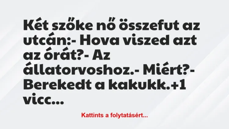 Vicc: Két szőke nő összefut az utcán:

– Hova viszed azt az órát?

-…