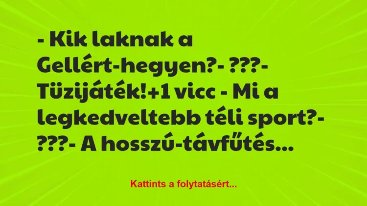 Vicc: – Kik laknak a Gellért-hegyen?

– ???

– Tüzijáték!