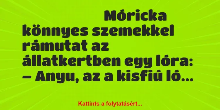 Vicc: Móricka könnyes szemekkel rámutat az állatkertben egy lóra: