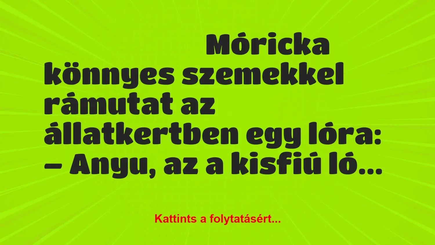 Vicc: Móricka könnyes szemekkel rámutat az állatkertben egy lóra: