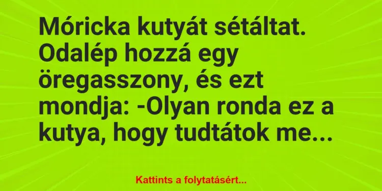 Vicc: Móricka kutyát sétáltat. Odalép hozzá egy öregasszony, és ezt…