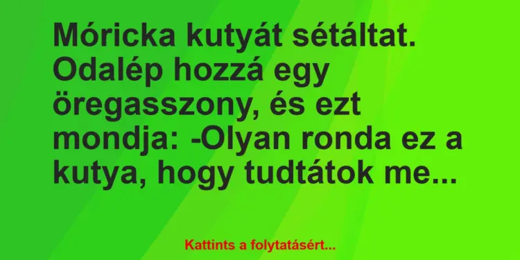 Vicc: Móricka kutyát sétáltat. Odalép hozzá egy öregasszony, és ezt…