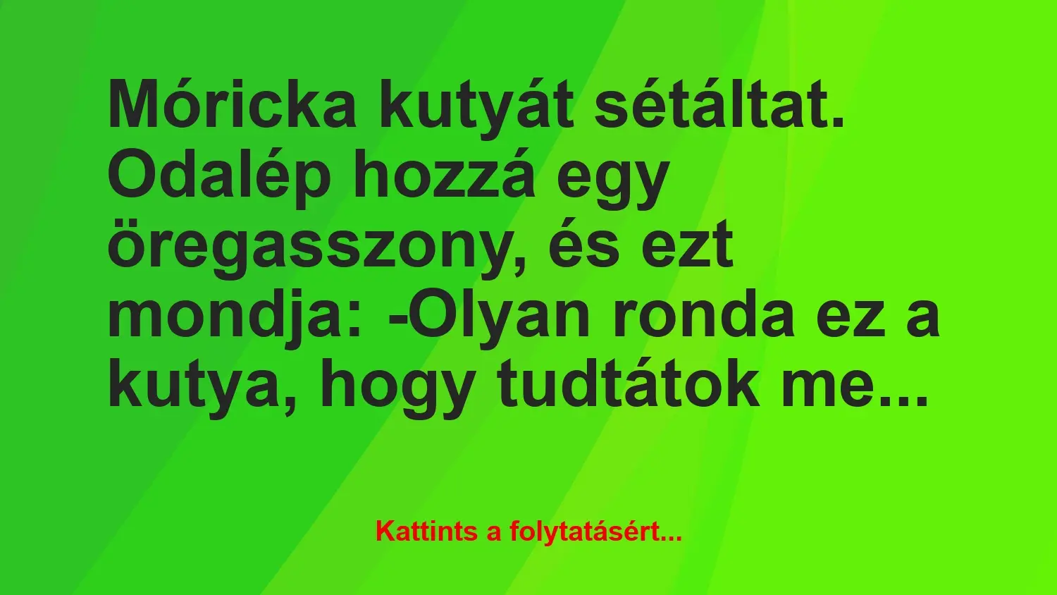 Vicc: Móricka kutyát sétáltat. Odalép hozzá egy öregasszony, és ezt…