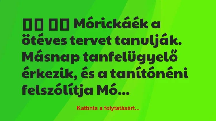 Vicc: 
		  
		  Mórickáék a ötéves tervet tanulják. Másnap…