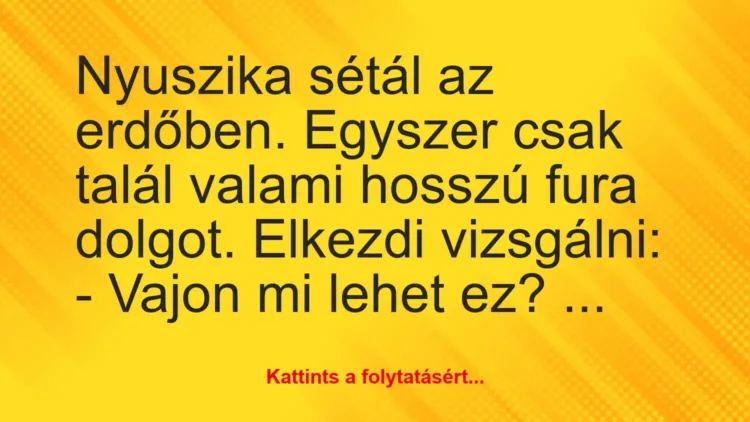 Vicc: Nyuszika sétál az erdőben. Egyszer csak talál valami hosszú fura…