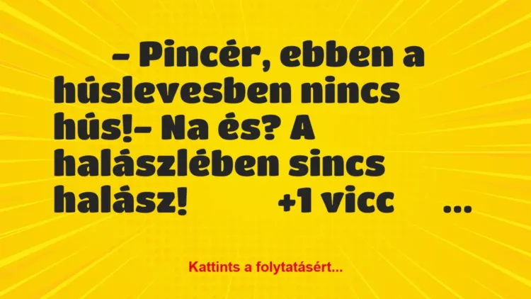 Vicc:
– Pincér, ebben a húslevesben nincs hús!- Na …