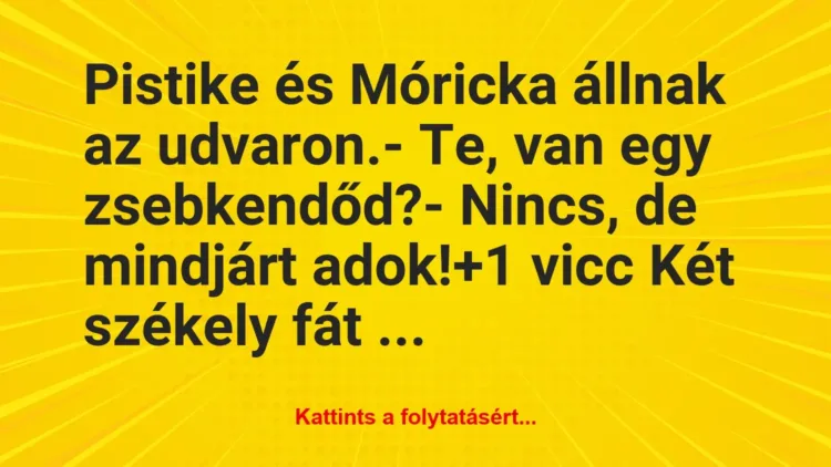 Vicc: Pistike és Móricka állnak az udvaron.

– Te, van egy…