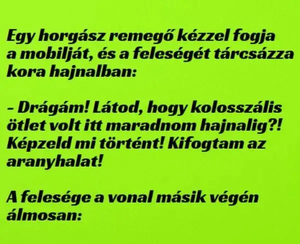 Vicc: Egy horgász remegő kézzel fogja a mobilját, és a feleségét…